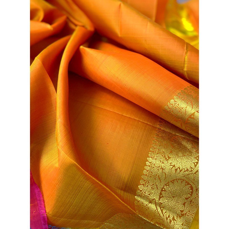 seerat_adream_72291221_783926505392282_8283725585306590585_n